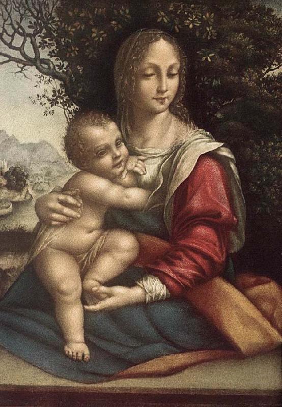 Cesare da Sesto Madonna and Child China oil painting art